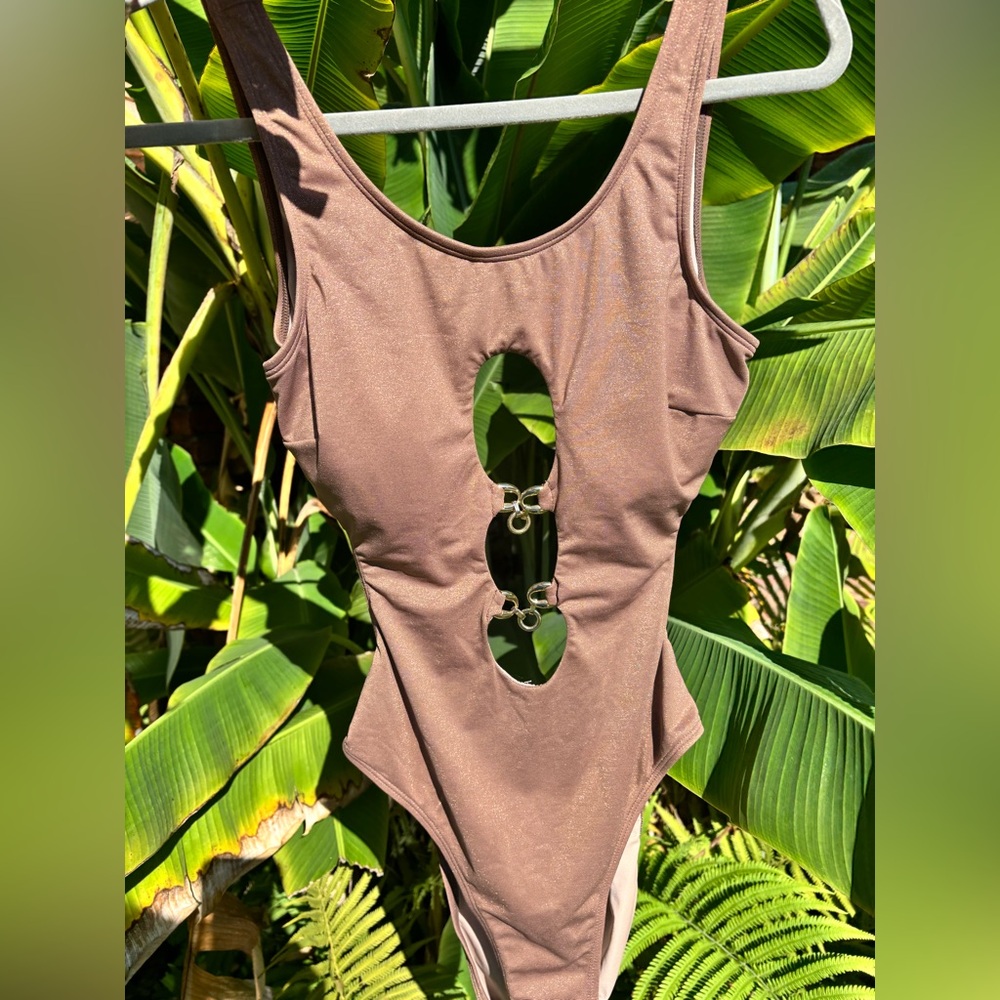 Brown Cutout Swimsuit